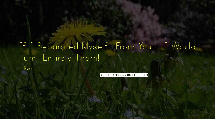 Rumi Quotes: If I Separated Myself  From You ... I Would Turn  Entirely Thorn!