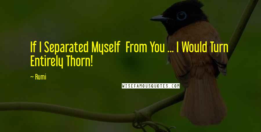 Rumi Quotes: If I Separated Myself  From You ... I Would Turn  Entirely Thorn!