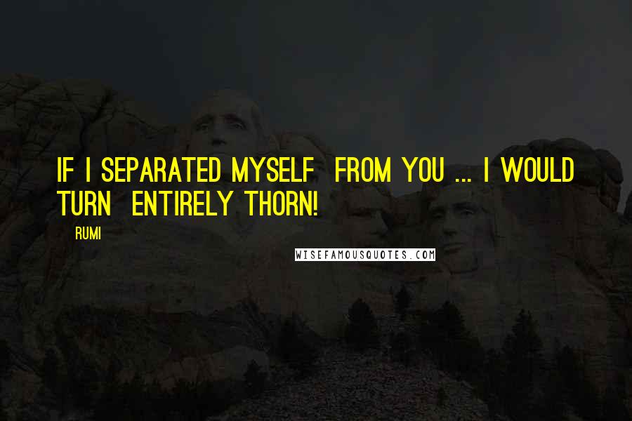 Rumi Quotes: If I Separated Myself  From You ... I Would Turn  Entirely Thorn!