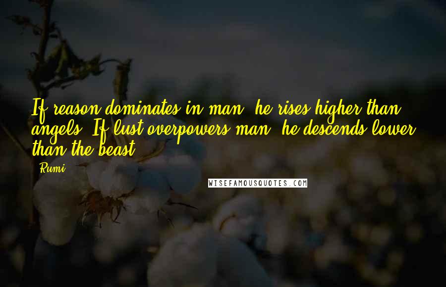 Rumi Quotes: If reason dominates in man, he rises higher than angels. If lust overpowers man, he descends lower than the beast.