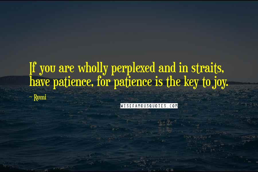 Rumi Quotes: If you are wholly perplexed and in straits, have patience, for patience is the key to joy.