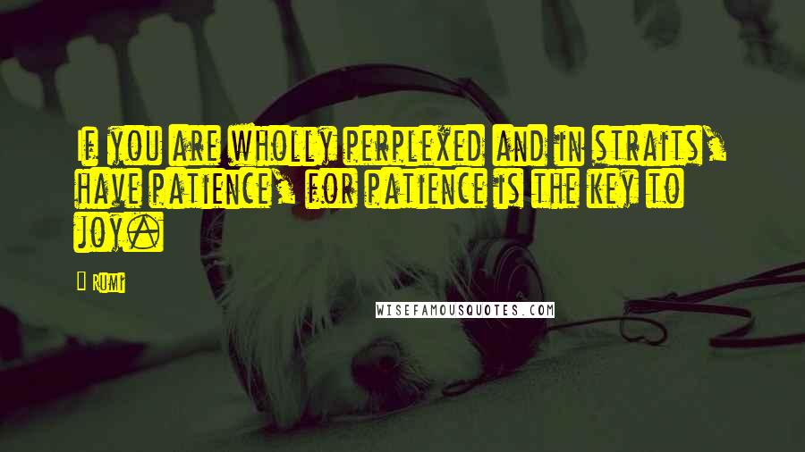 Rumi Quotes: If you are wholly perplexed and in straits, have patience, for patience is the key to joy.