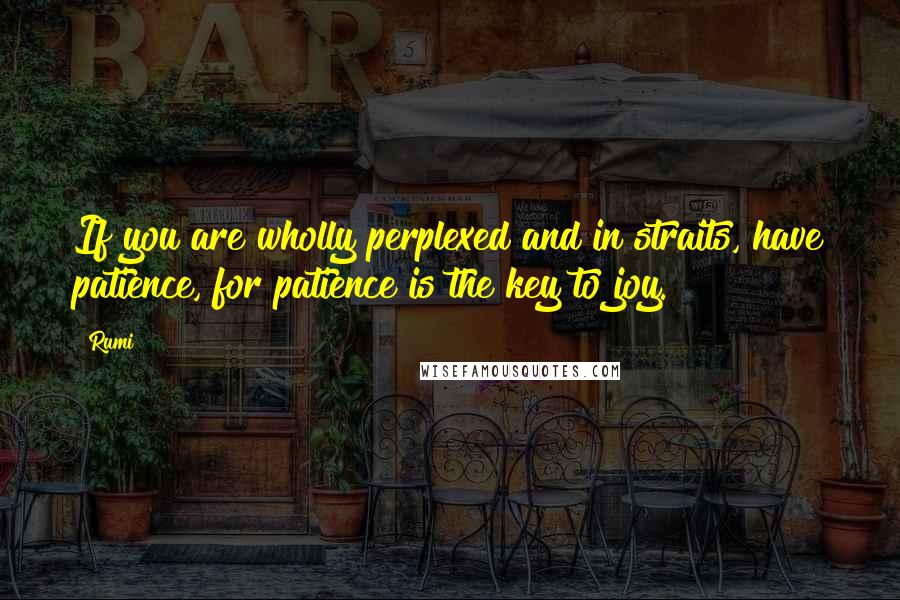 Rumi Quotes: If you are wholly perplexed and in straits, have patience, for patience is the key to joy.