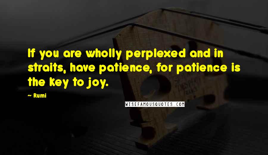 Rumi Quotes: If you are wholly perplexed and in straits, have patience, for patience is the key to joy.