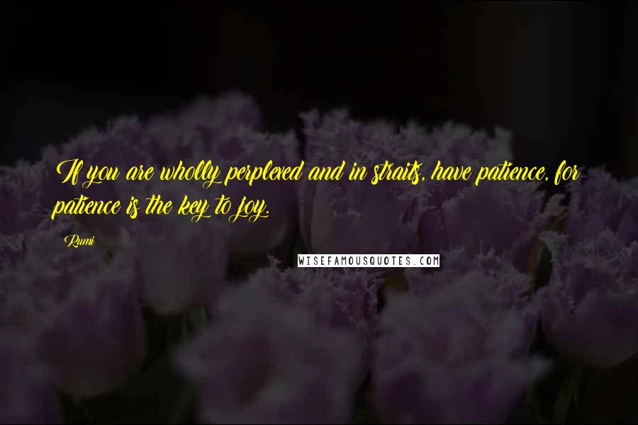 Rumi Quotes: If you are wholly perplexed and in straits, have patience, for patience is the key to joy.