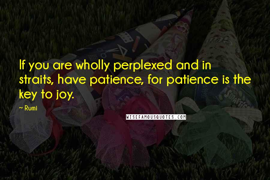 Rumi Quotes: If you are wholly perplexed and in straits, have patience, for patience is the key to joy.