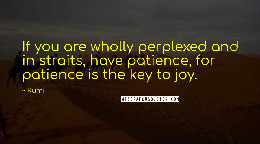 Rumi Quotes: If you are wholly perplexed and in straits, have patience, for patience is the key to joy.