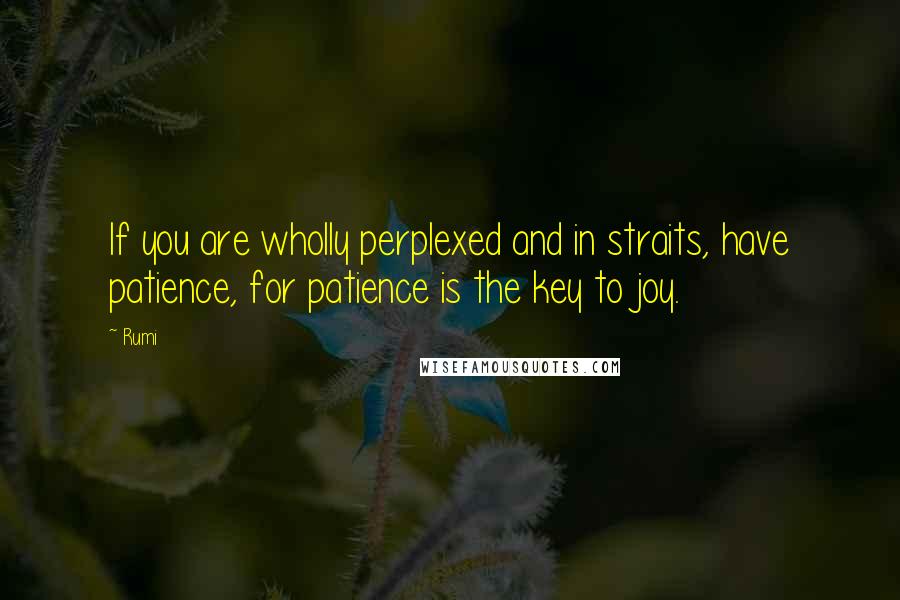 Rumi Quotes: If you are wholly perplexed and in straits, have patience, for patience is the key to joy.