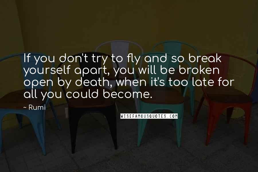 Rumi Quotes: If you don't try to fly and so break yourself apart, you will be broken open by death, when it's too late for all you could become.