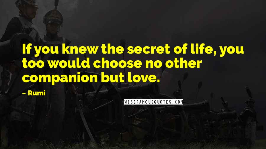 Rumi Quotes: If you knew the secret of life, you too would choose no other companion but love.