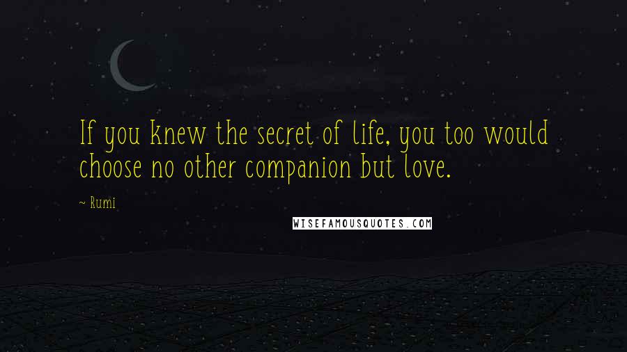 Rumi Quotes: If you knew the secret of life, you too would choose no other companion but love.