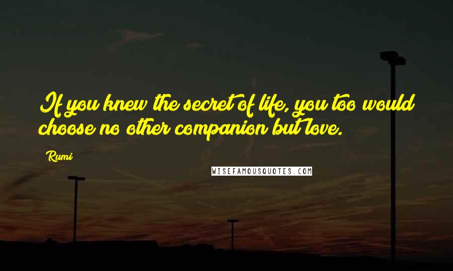 Rumi Quotes: If you knew the secret of life, you too would choose no other companion but love.