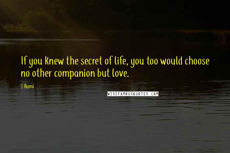 Rumi Quotes: If you knew the secret of life, you too would choose no other companion but love.