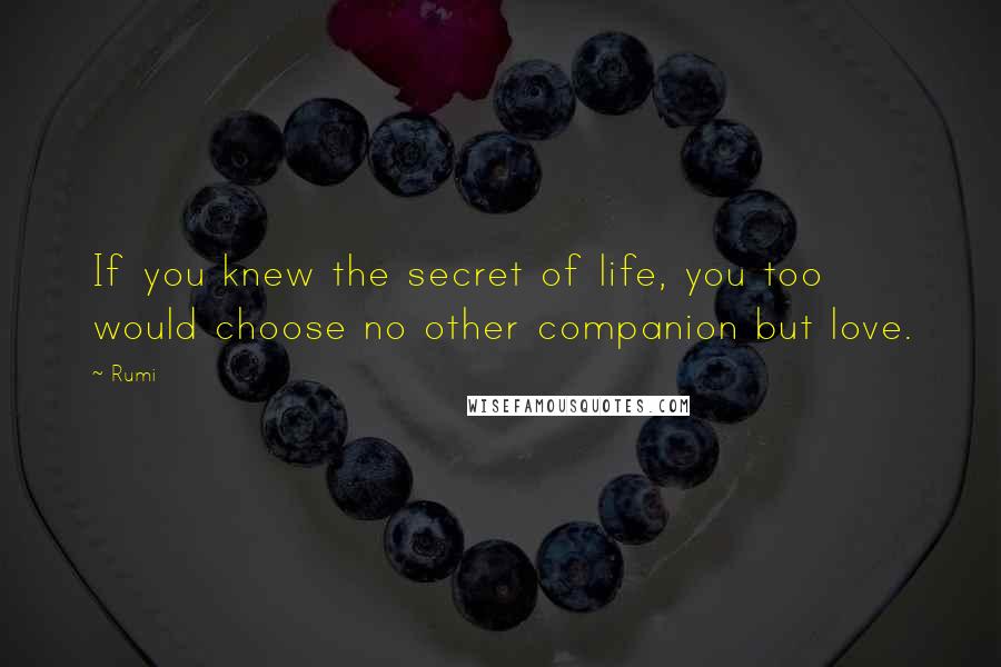 Rumi Quotes: If you knew the secret of life, you too would choose no other companion but love.