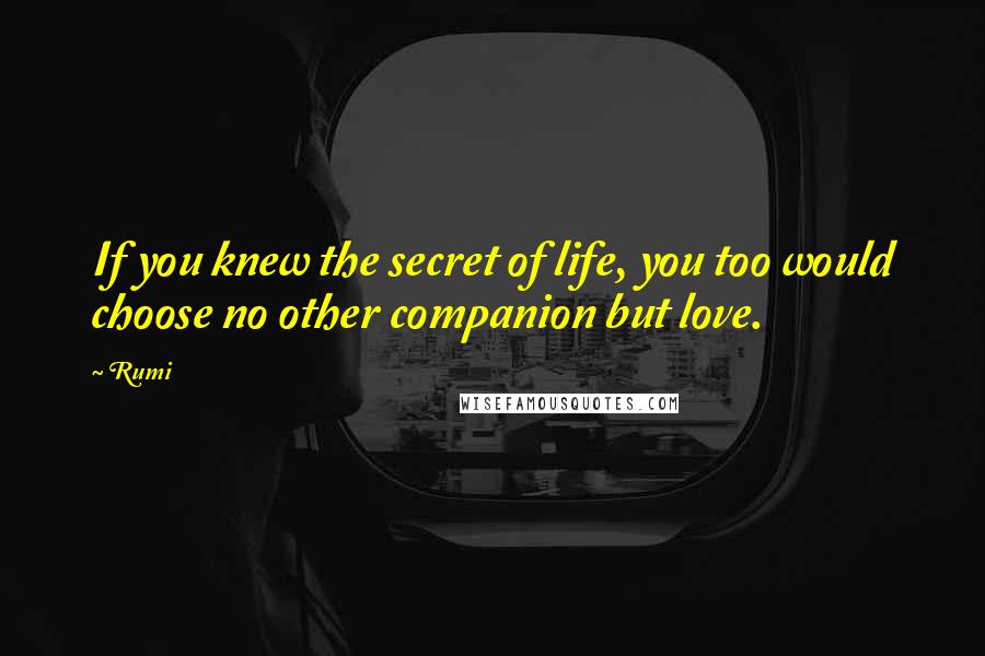 Rumi Quotes: If you knew the secret of life, you too would choose no other companion but love.