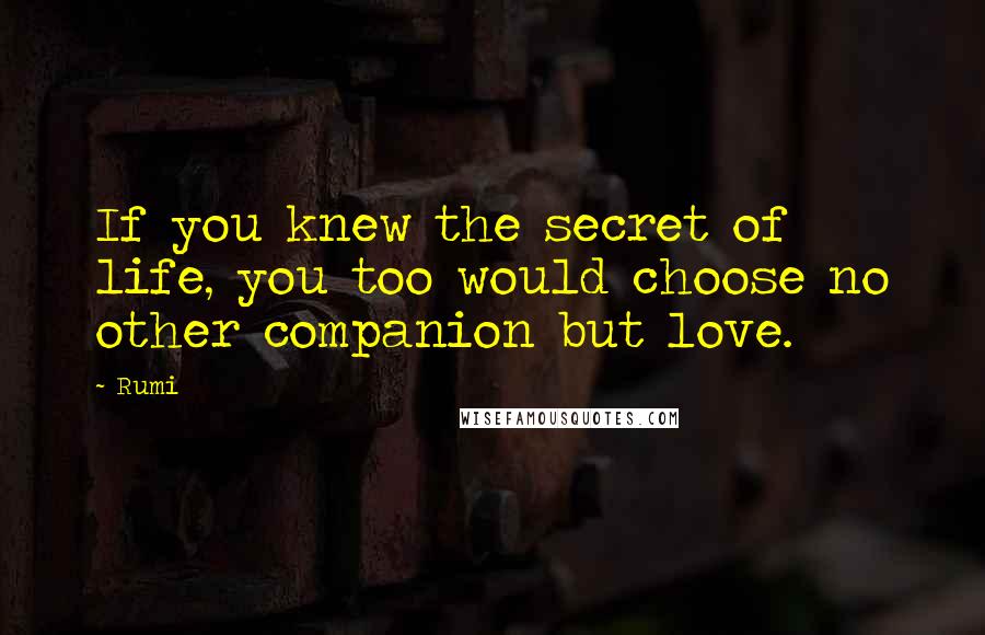 Rumi Quotes: If you knew the secret of life, you too would choose no other companion but love.