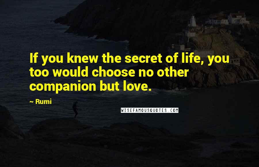 Rumi Quotes: If you knew the secret of life, you too would choose no other companion but love.