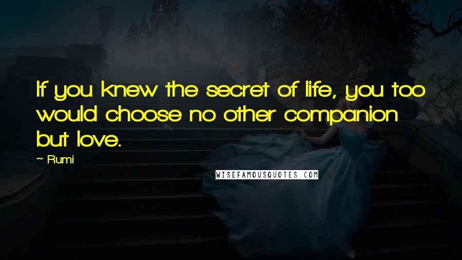 Rumi Quotes: If you knew the secret of life, you too would choose no other companion but love.