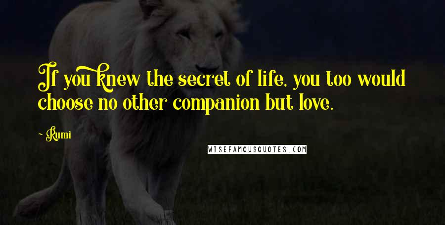 Rumi Quotes: If you knew the secret of life, you too would choose no other companion but love.