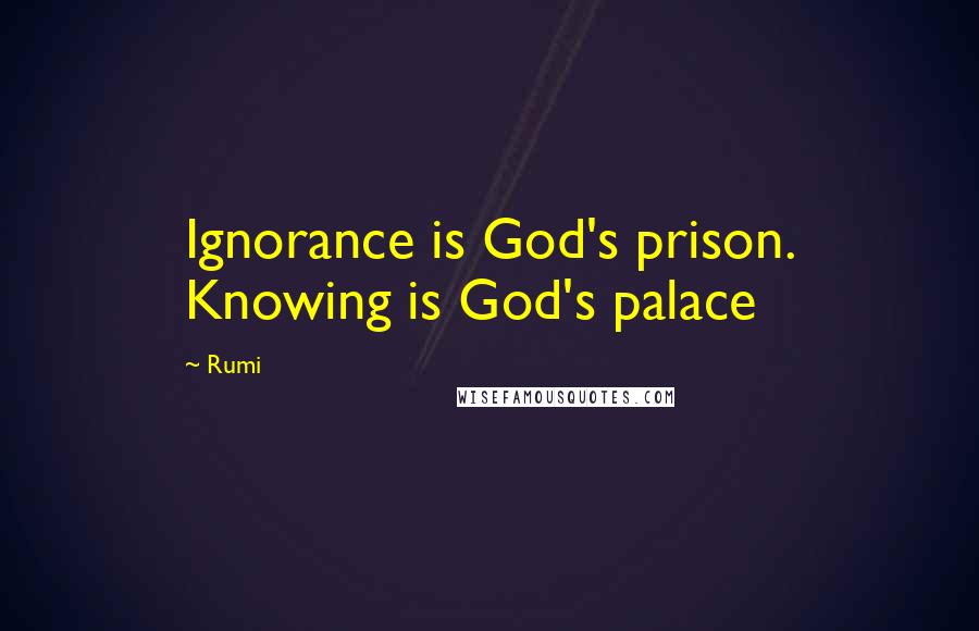 Rumi Quotes: Ignorance is God's prison. Knowing is God's palace