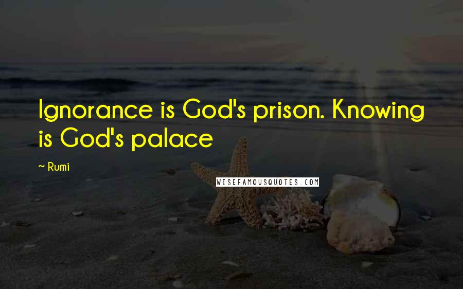 Rumi Quotes: Ignorance is God's prison. Knowing is God's palace
