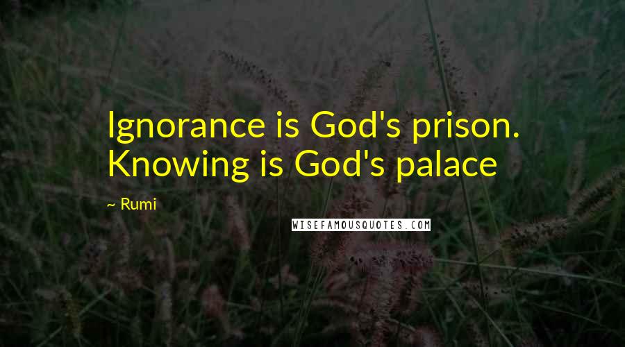 Rumi Quotes: Ignorance is God's prison. Knowing is God's palace