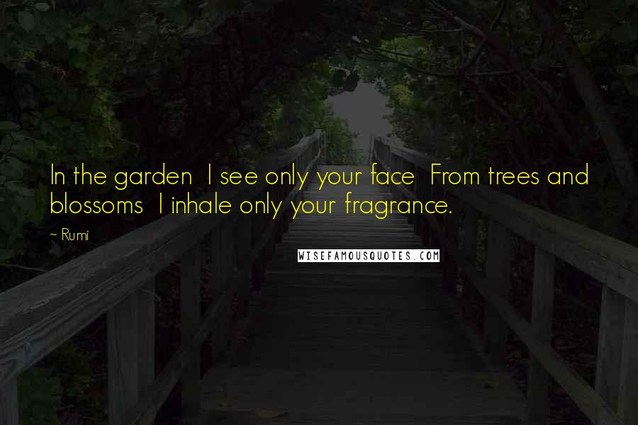 Rumi Quotes: In the garden I see only your face From trees and blossoms I inhale only your fragrance.