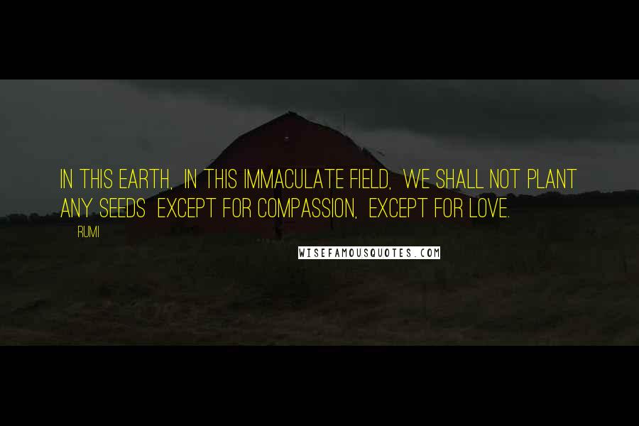 Rumi Quotes: In this earth, in this immaculate field, we shall not plant any seeds except for compassion, except for love.