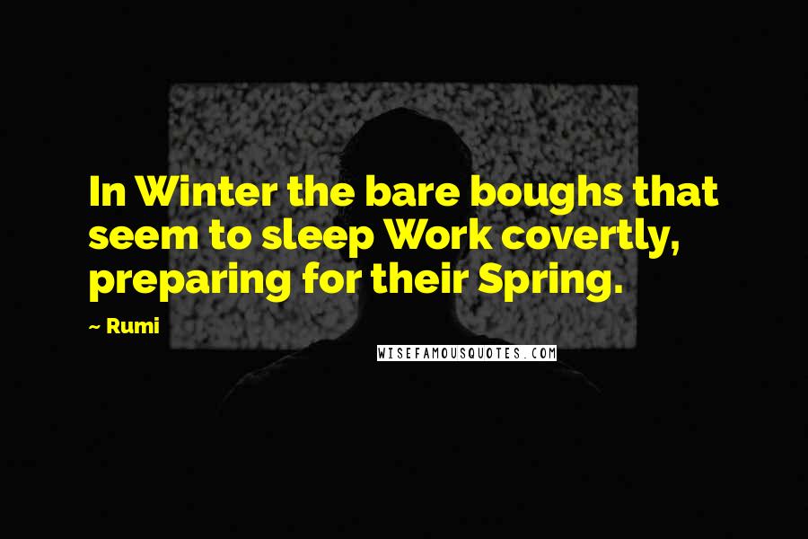 Rumi Quotes: In Winter the bare boughs that seem to sleep Work covertly, preparing for their Spring.