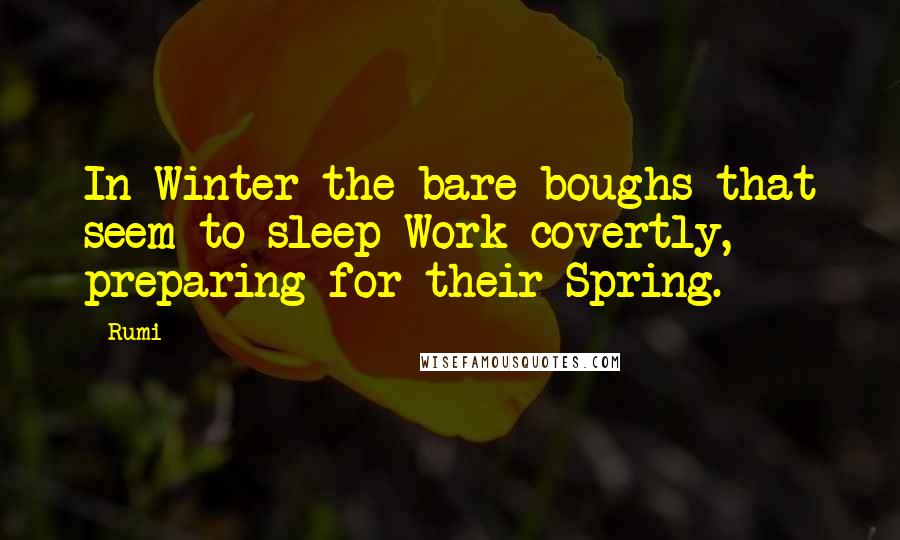 Rumi Quotes: In Winter the bare boughs that seem to sleep Work covertly, preparing for their Spring.