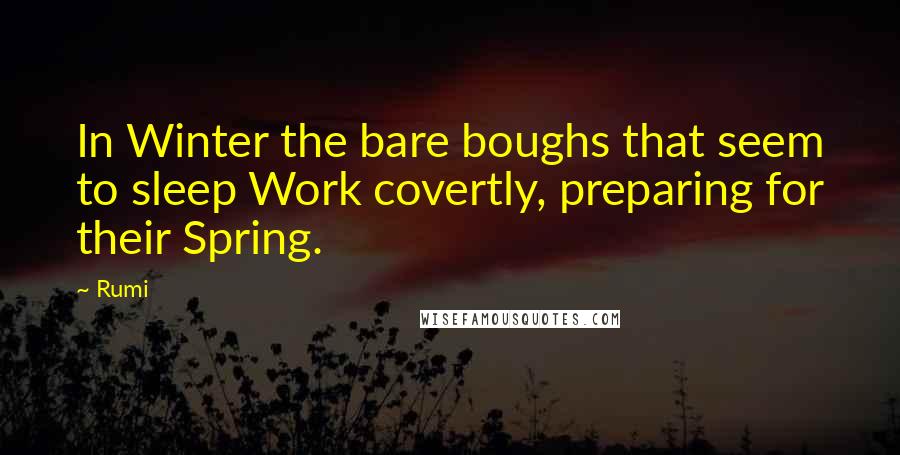 Rumi Quotes: In Winter the bare boughs that seem to sleep Work covertly, preparing for their Spring.