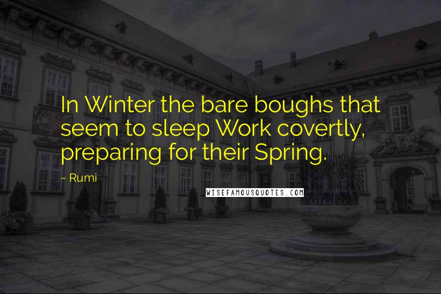 Rumi Quotes: In Winter the bare boughs that seem to sleep Work covertly, preparing for their Spring.