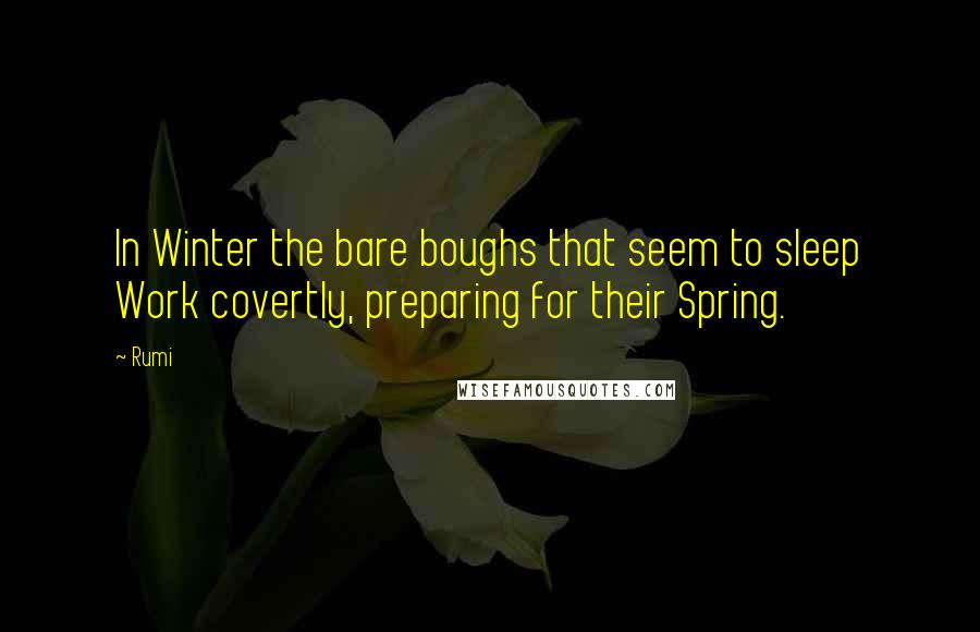 Rumi Quotes: In Winter the bare boughs that seem to sleep Work covertly, preparing for their Spring.