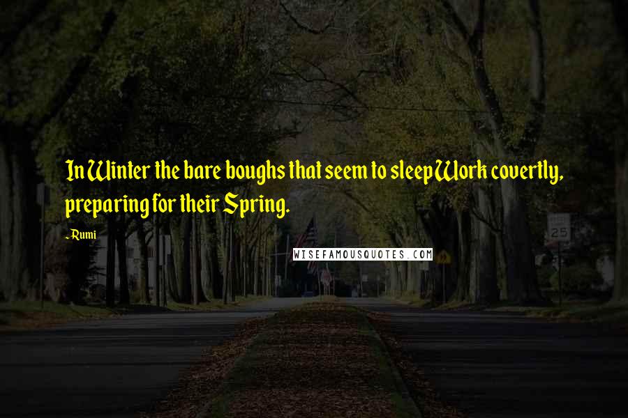 Rumi Quotes: In Winter the bare boughs that seem to sleep Work covertly, preparing for their Spring.