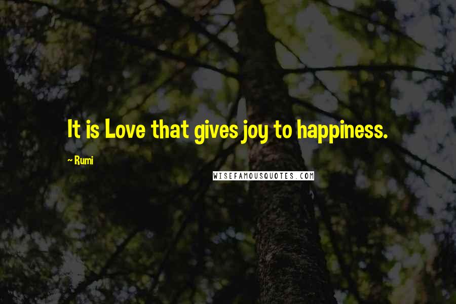 Rumi Quotes: It is Love that gives joy to happiness.