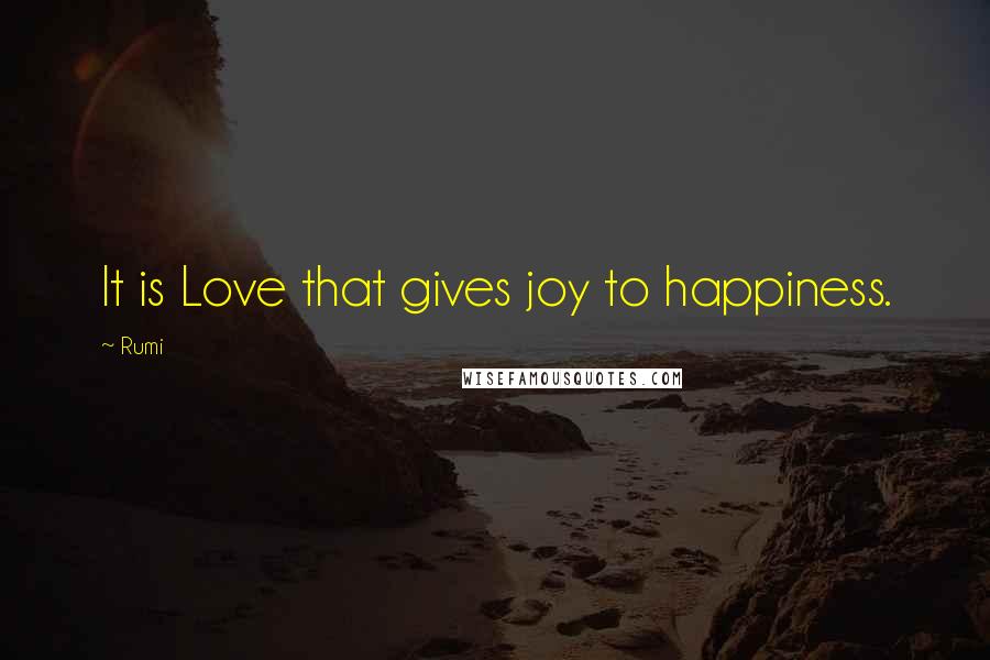 Rumi Quotes: It is Love that gives joy to happiness.