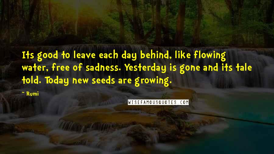 Rumi Quotes: Its good to leave each day behind, like flowing water, free of sadness. Yesterday is gone and its tale told. Today new seeds are growing.