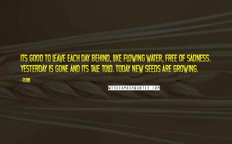 Rumi Quotes: Its good to leave each day behind, like flowing water, free of sadness. Yesterday is gone and its tale told. Today new seeds are growing.