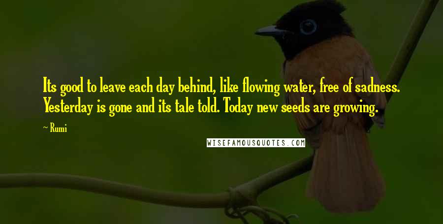 Rumi Quotes: Its good to leave each day behind, like flowing water, free of sadness. Yesterday is gone and its tale told. Today new seeds are growing.