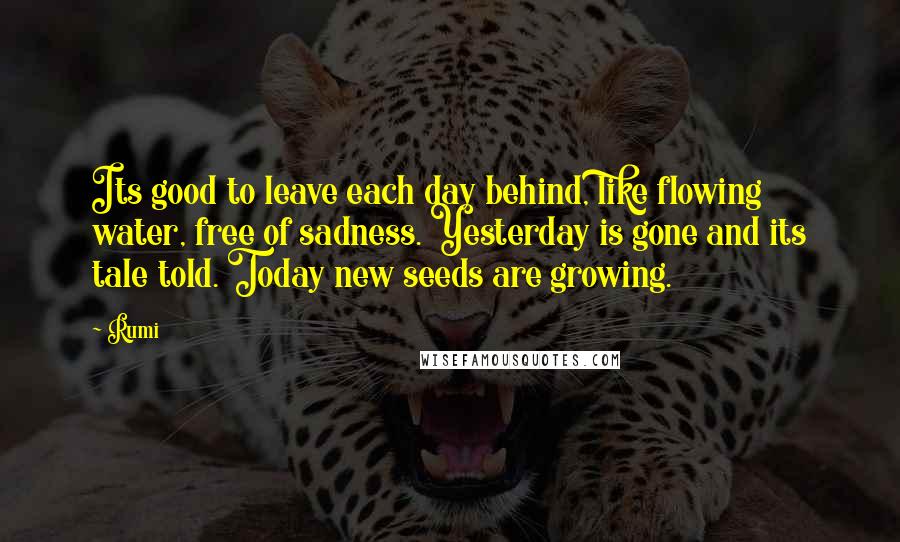 Rumi Quotes: Its good to leave each day behind, like flowing water, free of sadness. Yesterday is gone and its tale told. Today new seeds are growing.