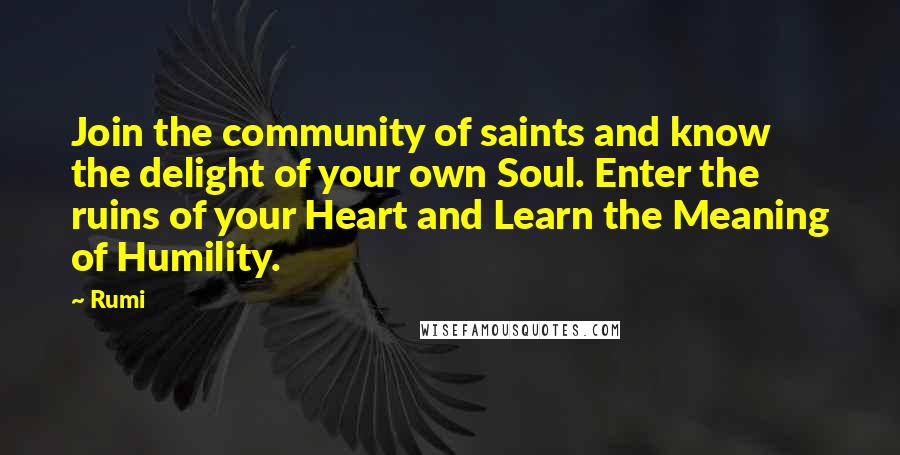 Rumi Quotes: Join the community of saints and know the delight of your own Soul. Enter the ruins of your Heart and Learn the Meaning of Humility.