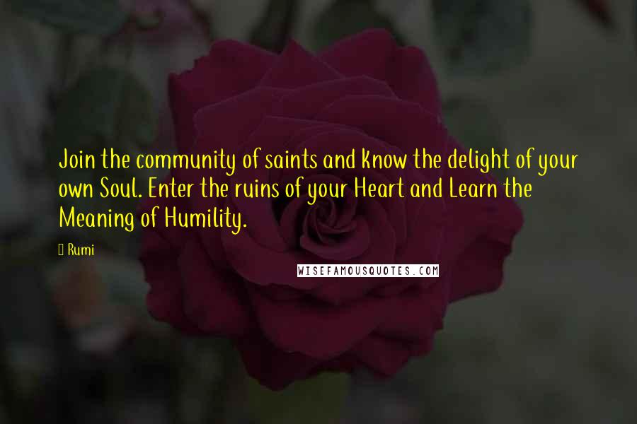 Rumi Quotes: Join the community of saints and know the delight of your own Soul. Enter the ruins of your Heart and Learn the Meaning of Humility.