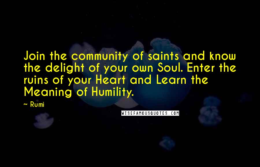 Rumi Quotes: Join the community of saints and know the delight of your own Soul. Enter the ruins of your Heart and Learn the Meaning of Humility.