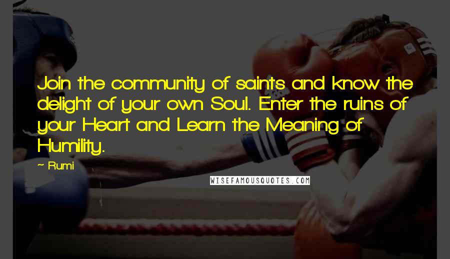 Rumi Quotes: Join the community of saints and know the delight of your own Soul. Enter the ruins of your Heart and Learn the Meaning of Humility.