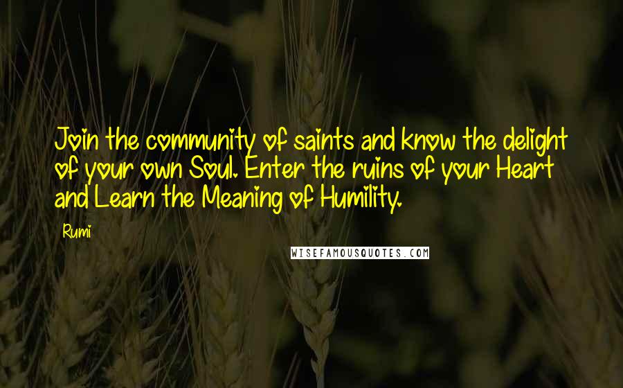 Rumi Quotes: Join the community of saints and know the delight of your own Soul. Enter the ruins of your Heart and Learn the Meaning of Humility.