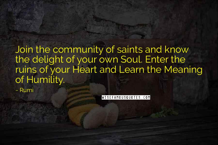 Rumi Quotes: Join the community of saints and know the delight of your own Soul. Enter the ruins of your Heart and Learn the Meaning of Humility.