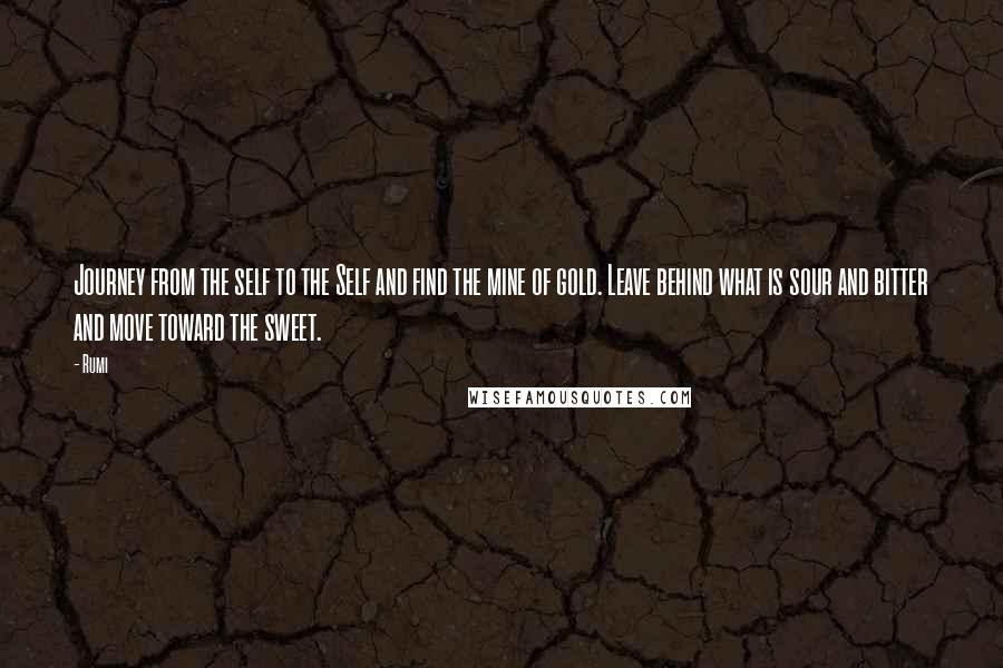Rumi Quotes: Journey from the self to the Self and find the mine of gold. Leave behind what is sour and bitter and move toward the sweet.