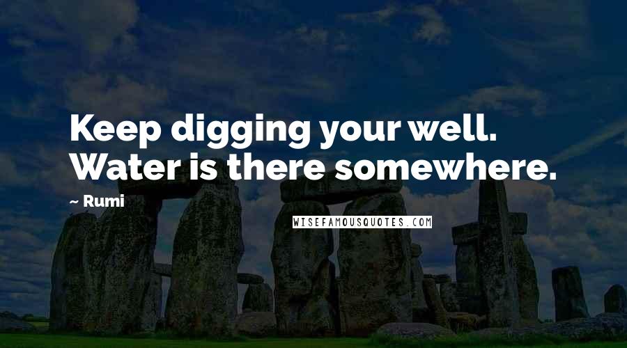 Rumi Quotes: Keep digging your well. Water is there somewhere.