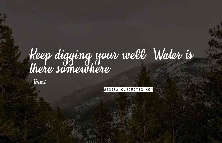 Rumi Quotes: Keep digging your well. Water is there somewhere.