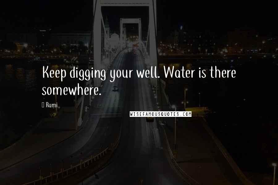 Rumi Quotes: Keep digging your well. Water is there somewhere.